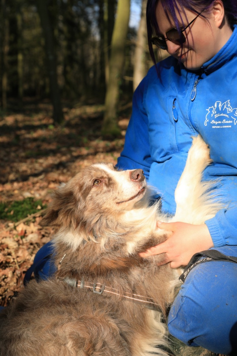 605778522_1300822768742308_8319414339523132227_n