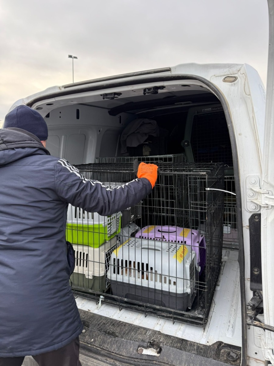 605994757_888449450218348_7010238626598272483_n