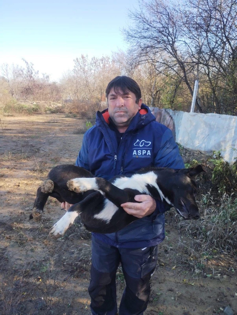 607951557_1213201080965027_6698739259526319641_n