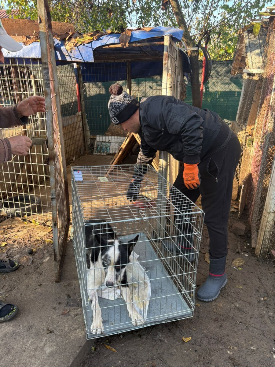 608009007_888449490218344_4926885262443902048_n