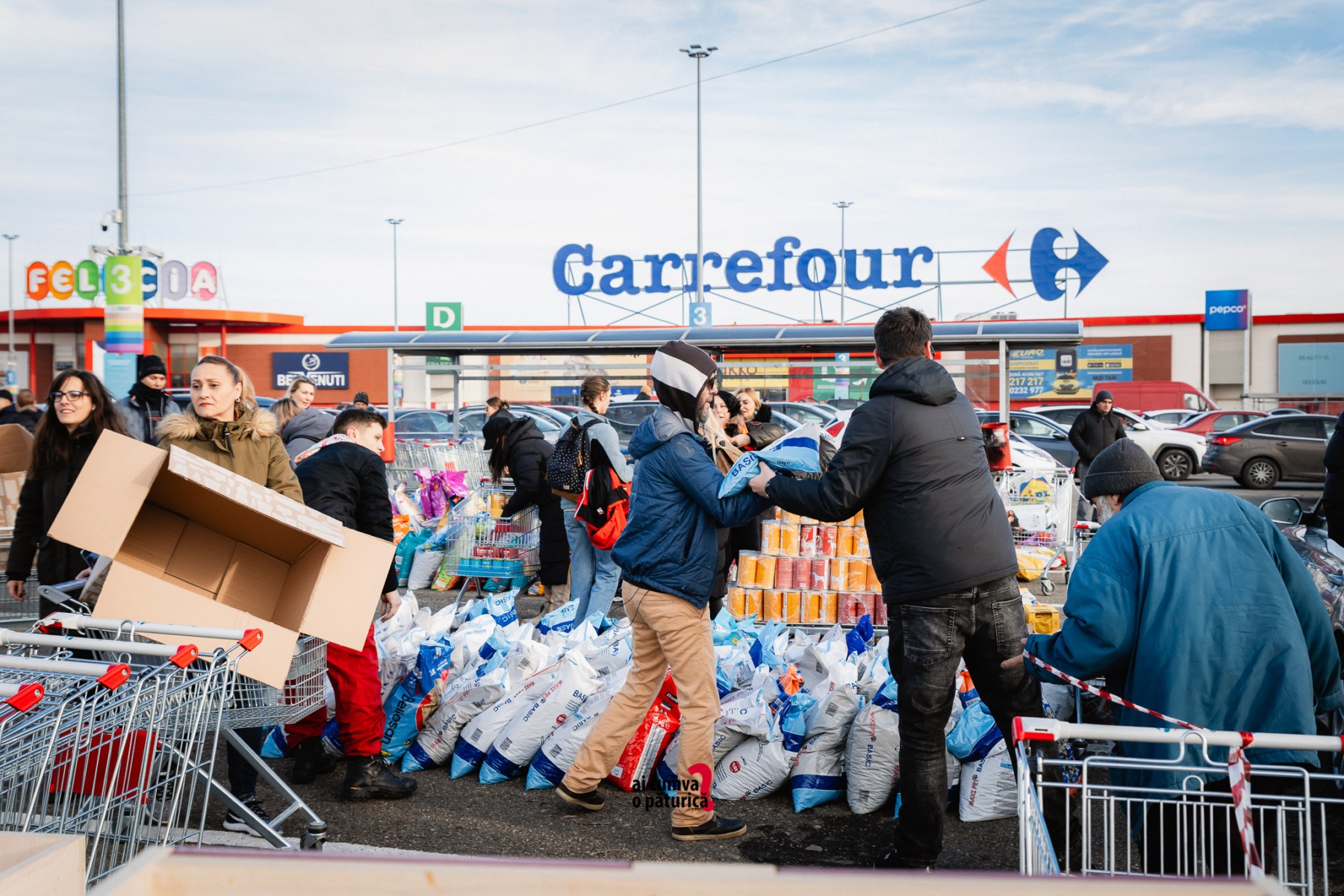 Ai cumva o păturică__03