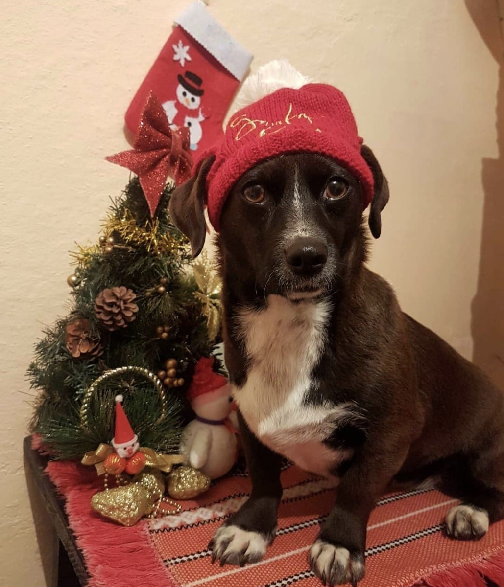 Aryell-Bailey-Leyla---