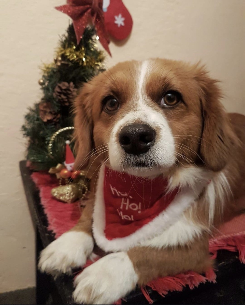 Aryell-Bailey-Leyla--