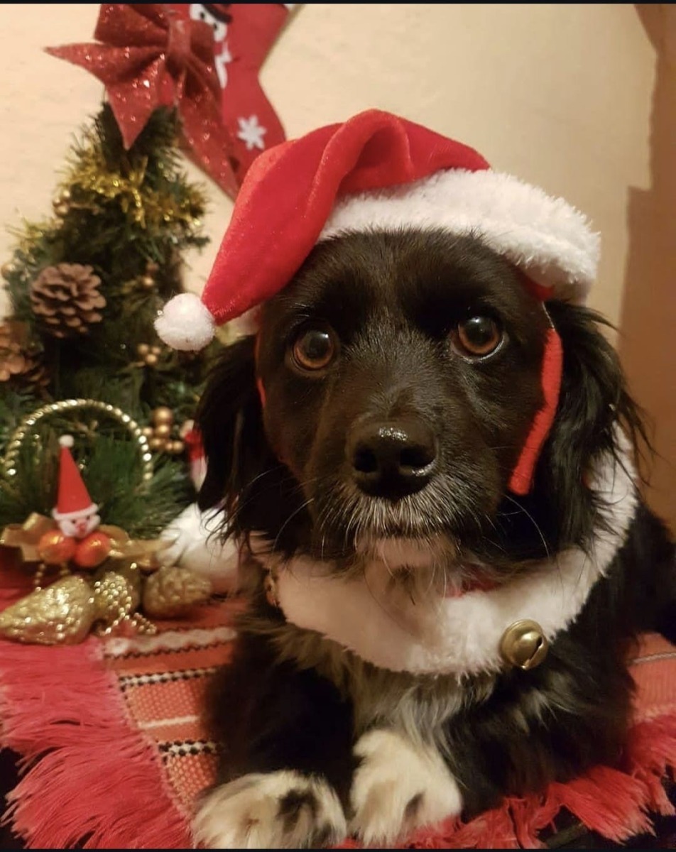 Aryell-Bailey-Leyla-