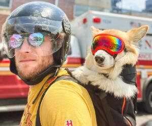 Bryan Reisberg plimbă un câine în rucsac prin New York