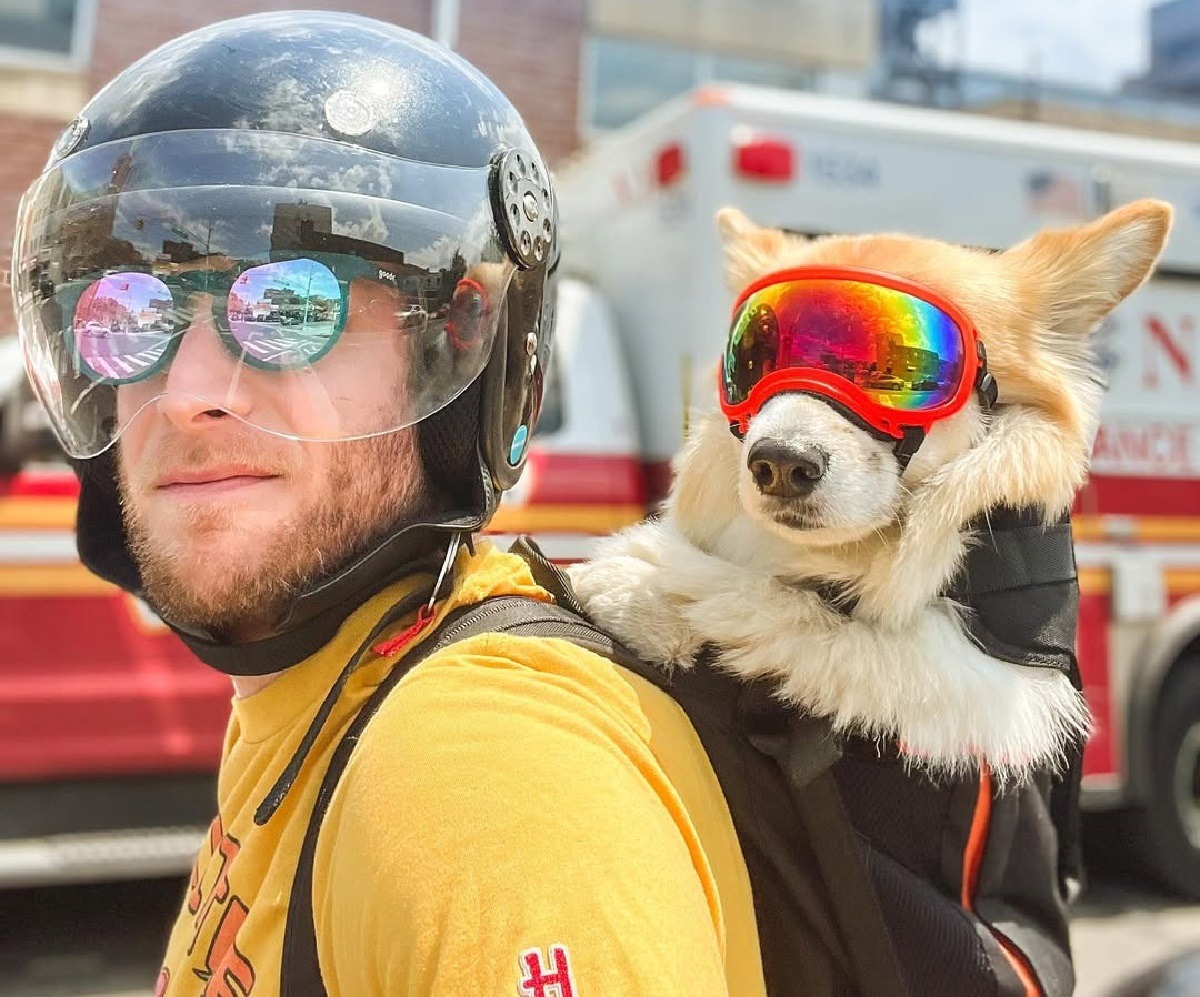 Bryan Reisberg plimbă un câine în rucsac prin New York