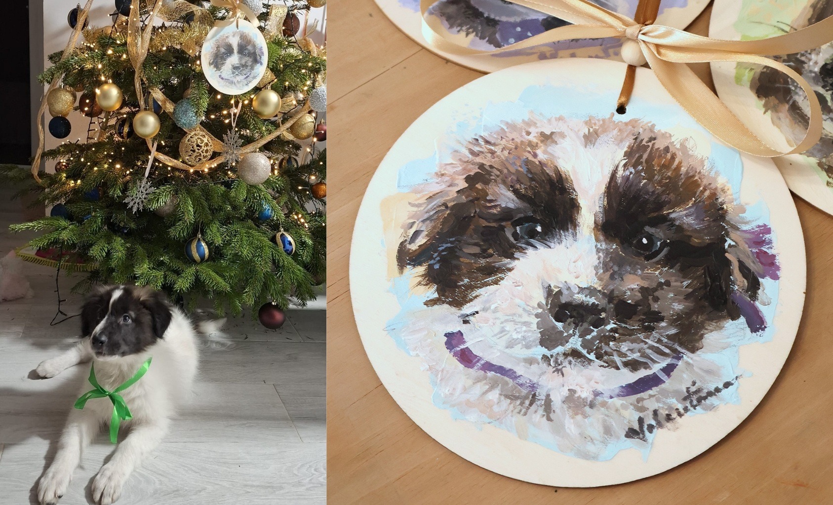 Tablou cu Busuioc adoptat de la Adapostul Speranta