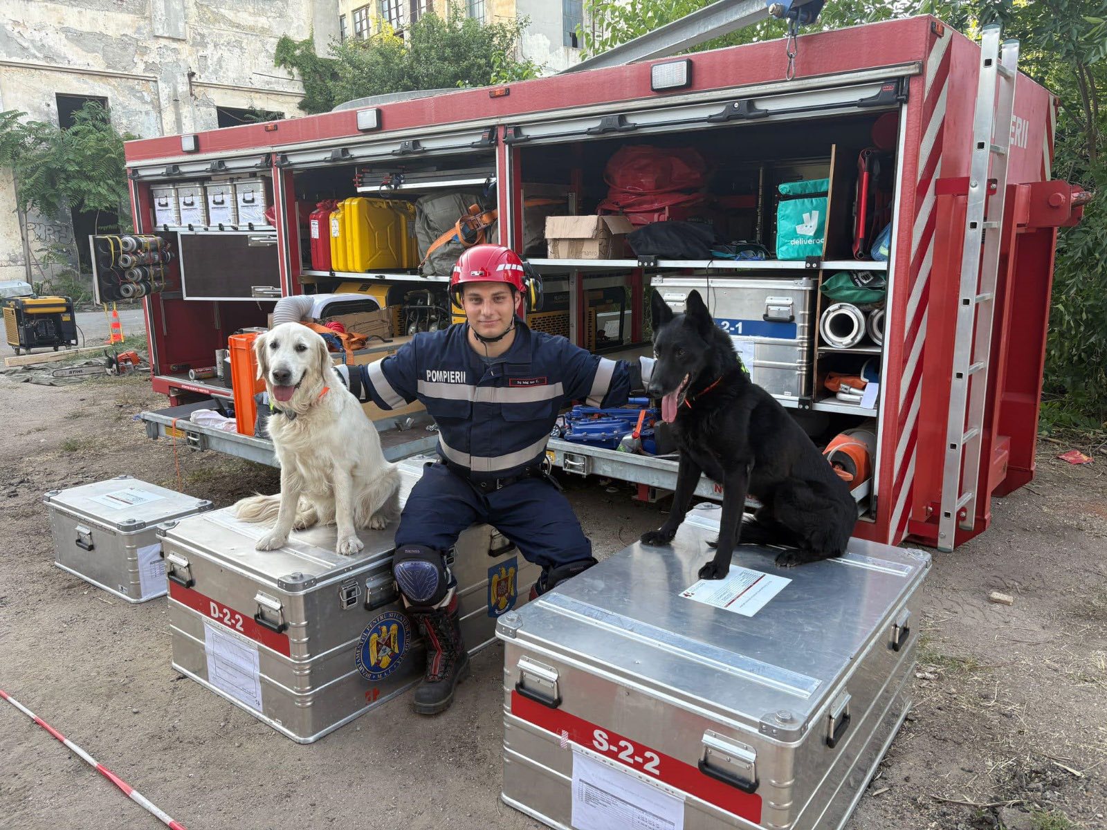 Caini-de-Salvare-Transilvania-6