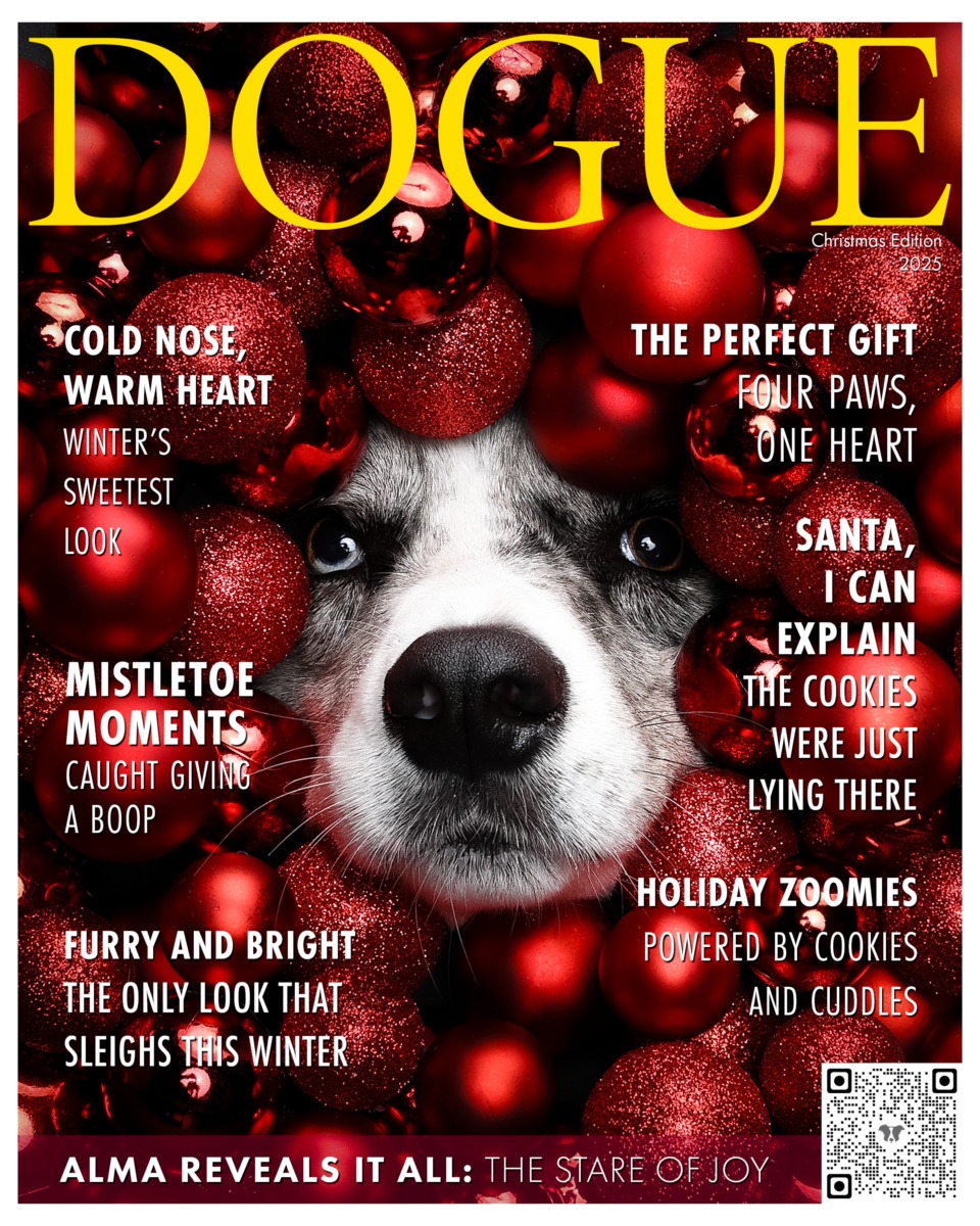 DOGUE_XMAS
