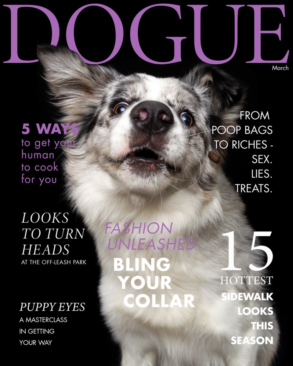 DOGUE_march