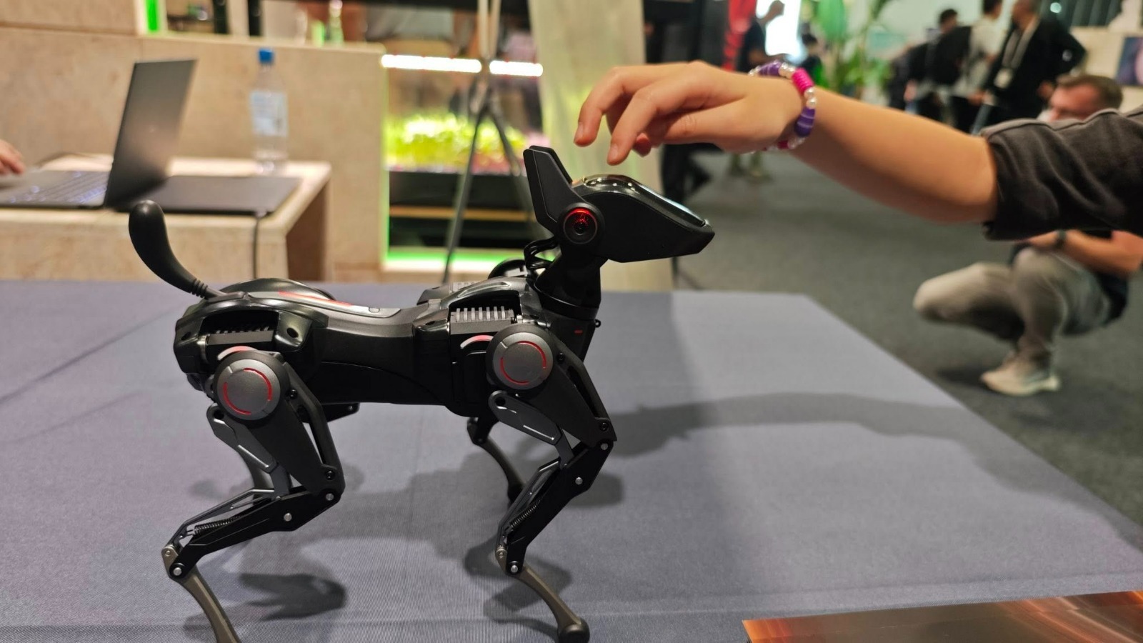 Robot-câine Hengbot Sirius