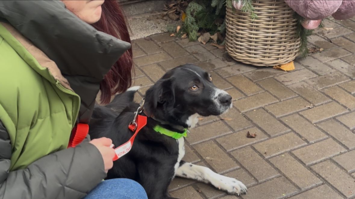 WhatsApp Image 2025-12-08 at 10.08.04