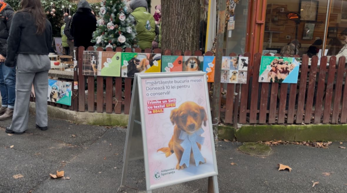 WhatsApp Image 2025-12-08 at 10.08.41