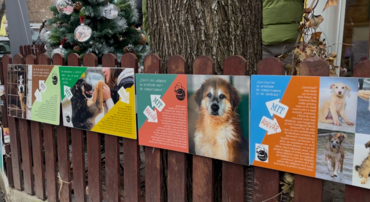 WhatsApp Image 2025-12-08 at 10.09.08