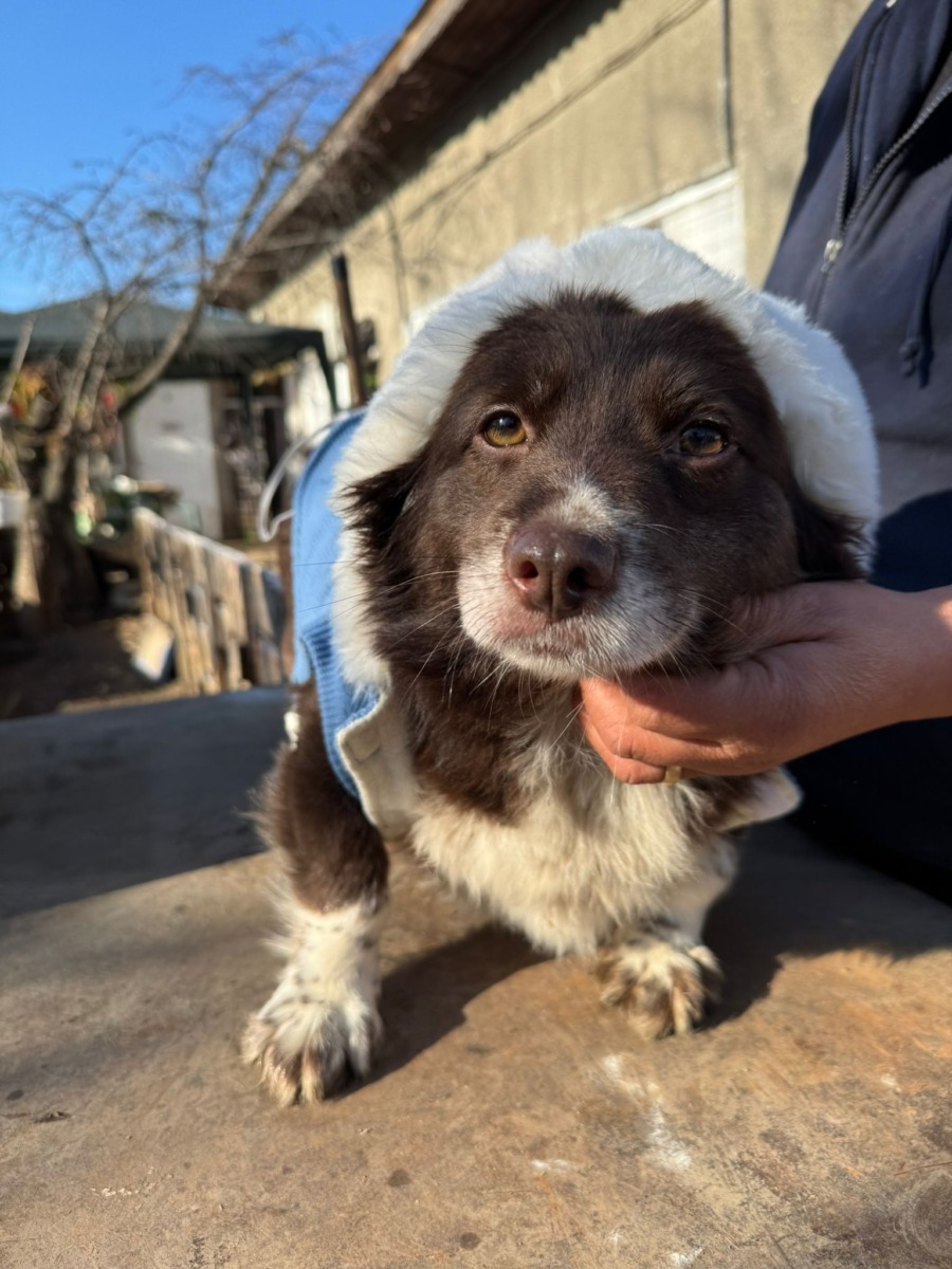 WhatsApp Image 2025-12-16 at 12.39.47 (1)