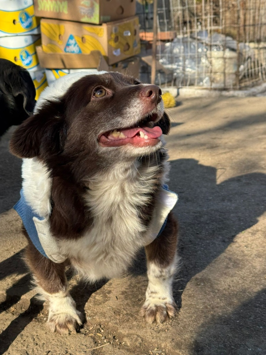 WhatsApp Image 2025-12-16 at 12.39.47 (2)