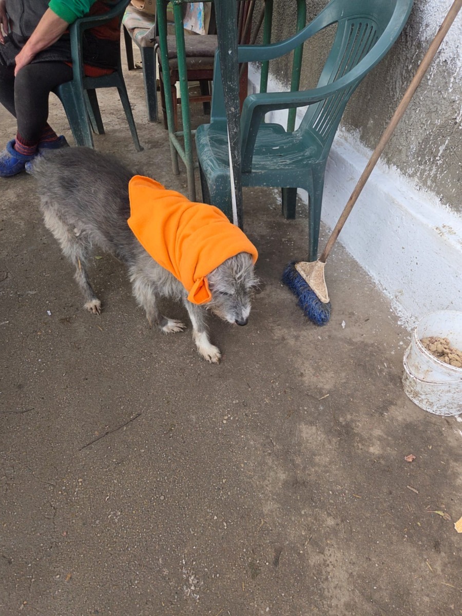 WhatsApp Image 2025-12-16 at 12.39.47