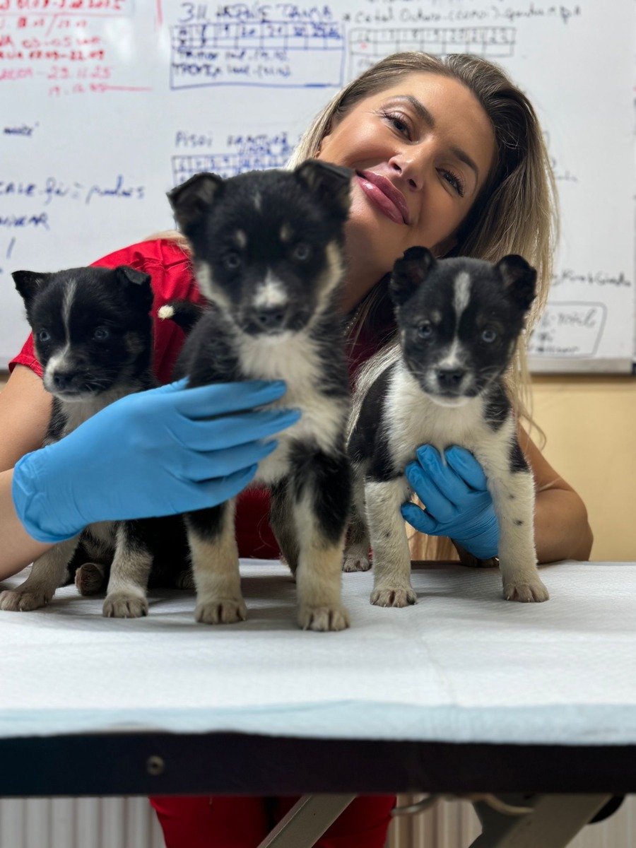 WhatsApp Image 2025-12-18 at 19.45.15 (1)