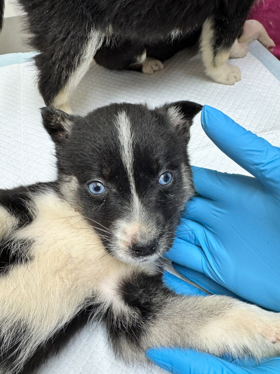 WhatsApp Image 2025-12-18 at 19.45.15 (2)