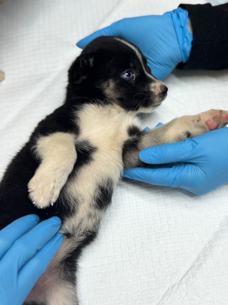 WhatsApp Image 2025-12-18 at 19.45.15