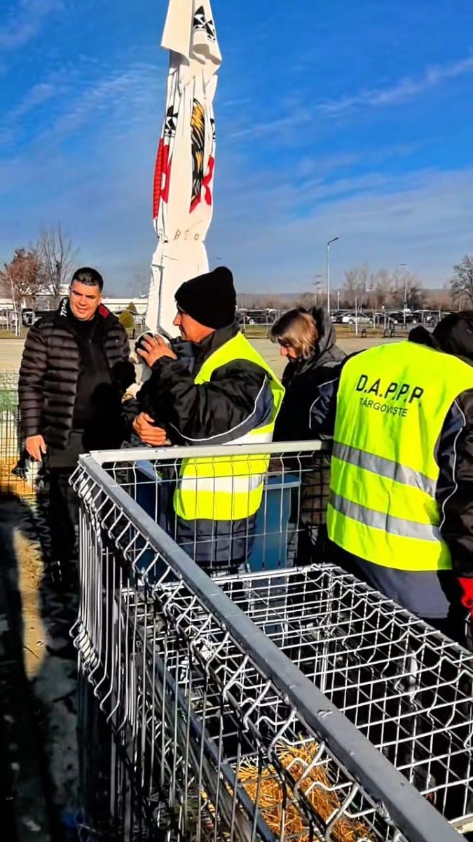 WhatsApp Image 2025-12-20 at 14.29.52 (3)