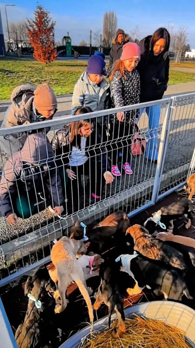 WhatsApp Image 2025-12-20 at 14.29.52