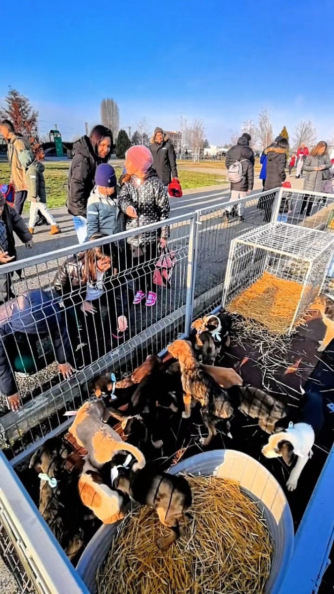 WhatsApp Image 2025-12-20 at 14.29.53 (1)