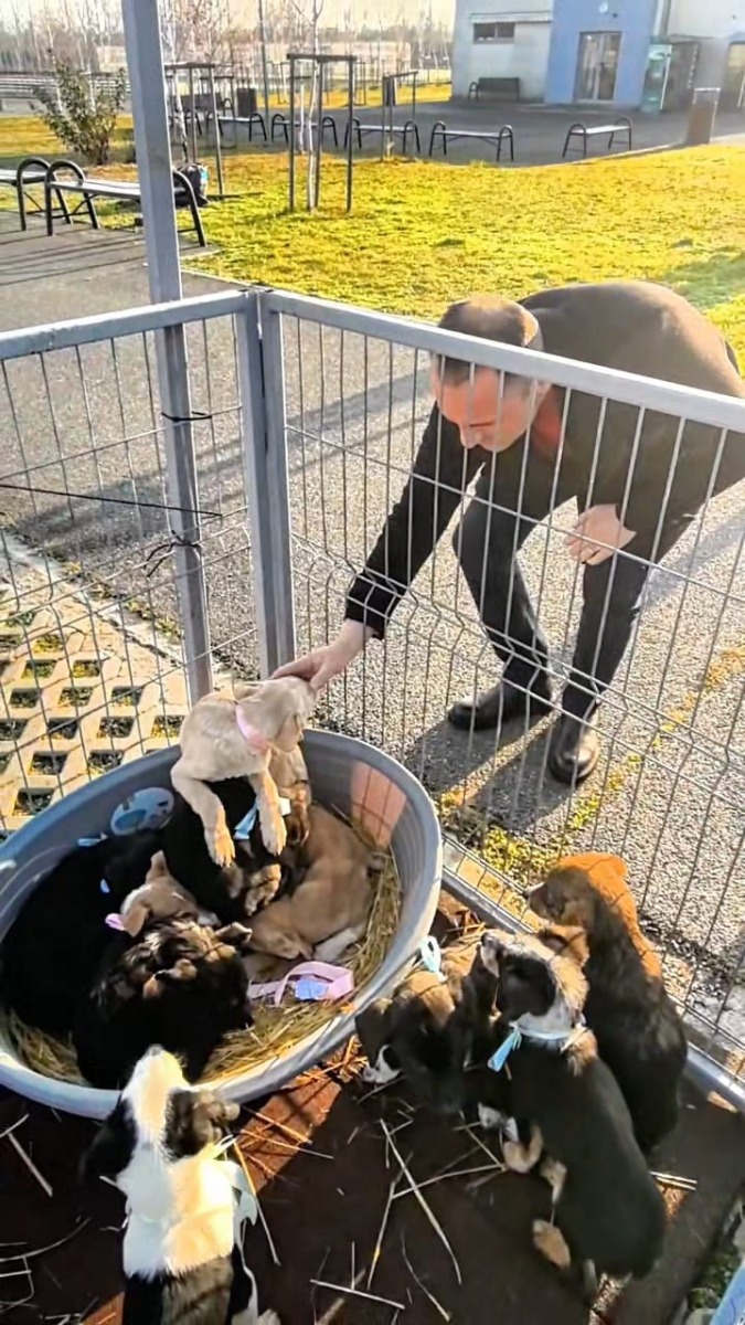 WhatsApp Image 2025-12-20 at 14.29.53