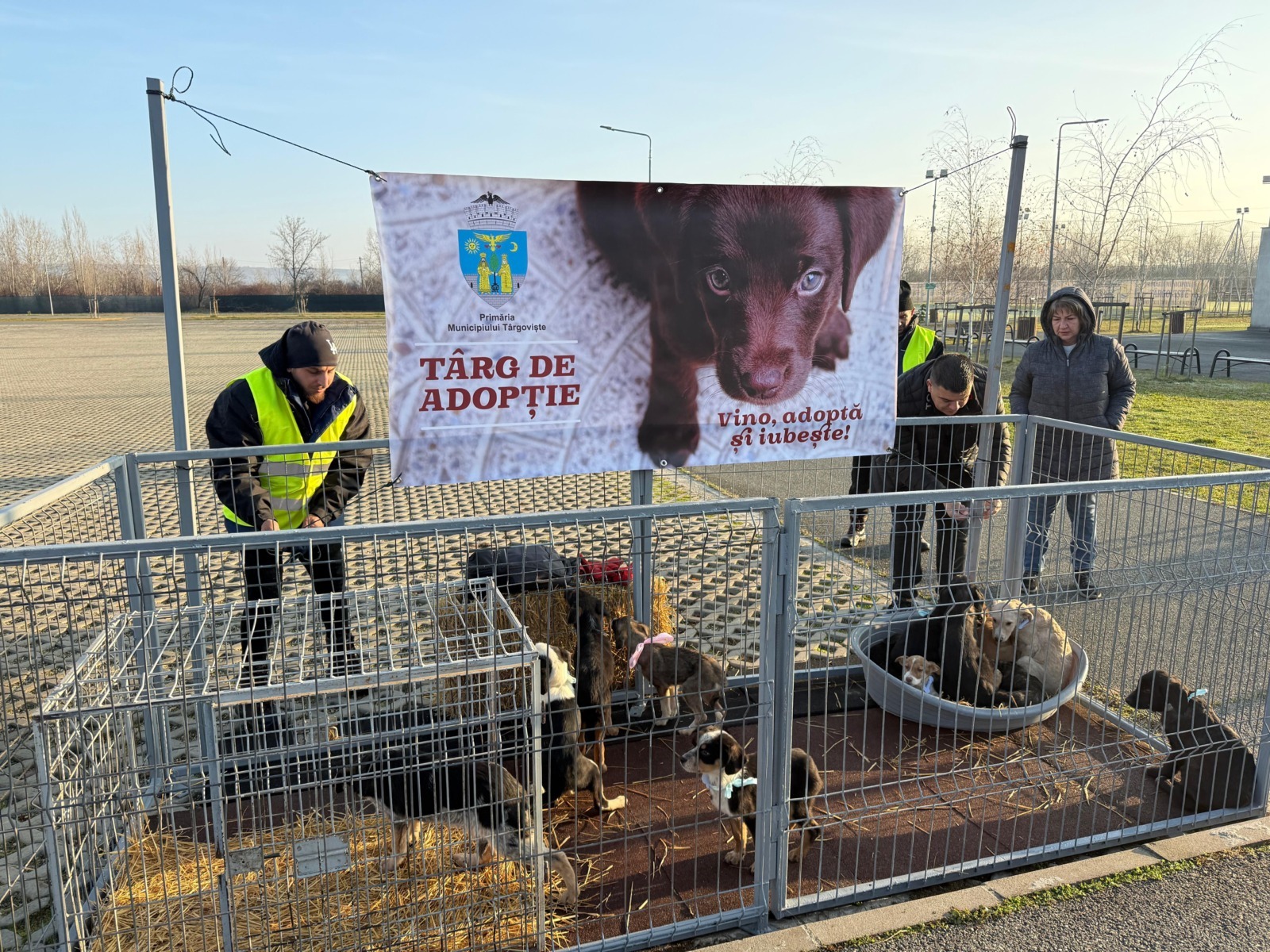 WhatsApp Image 2025-12-20 at 15.06.33 (2)