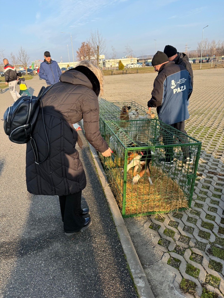 WhatsApp Image 2025-12-20 at 15.06.33