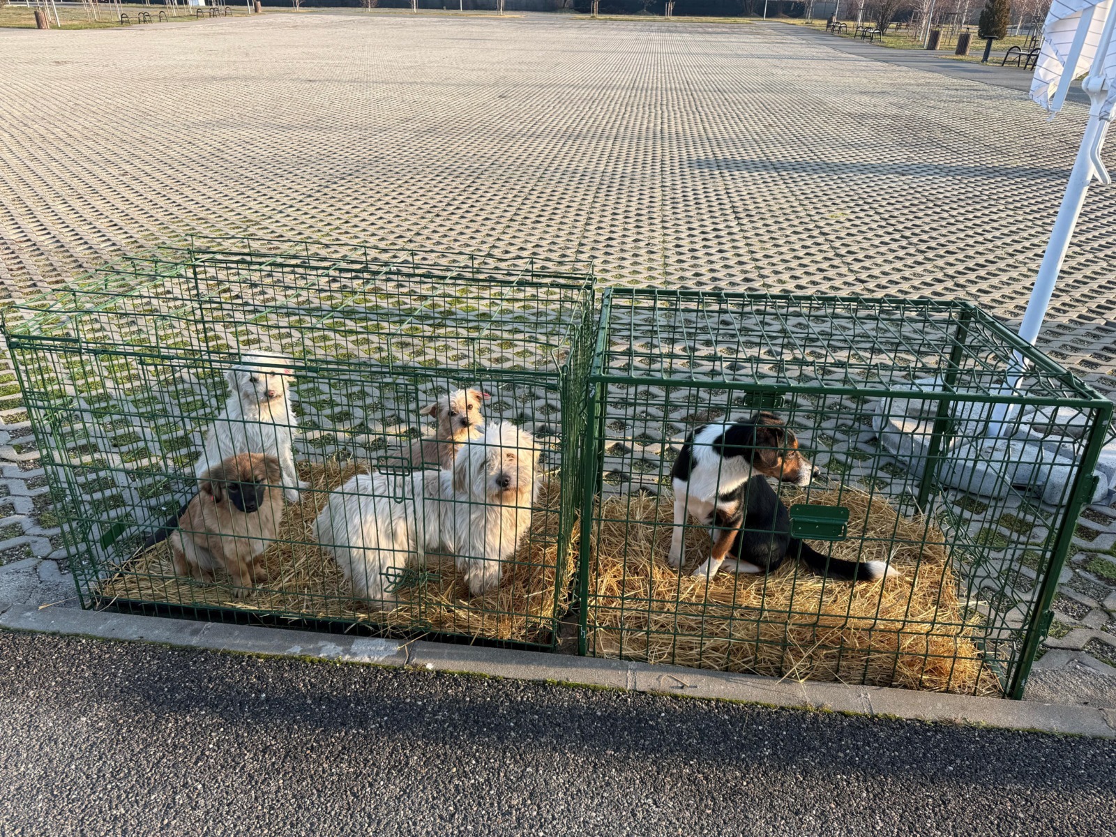 WhatsApp Image 2025-12-20 at 15.06.34