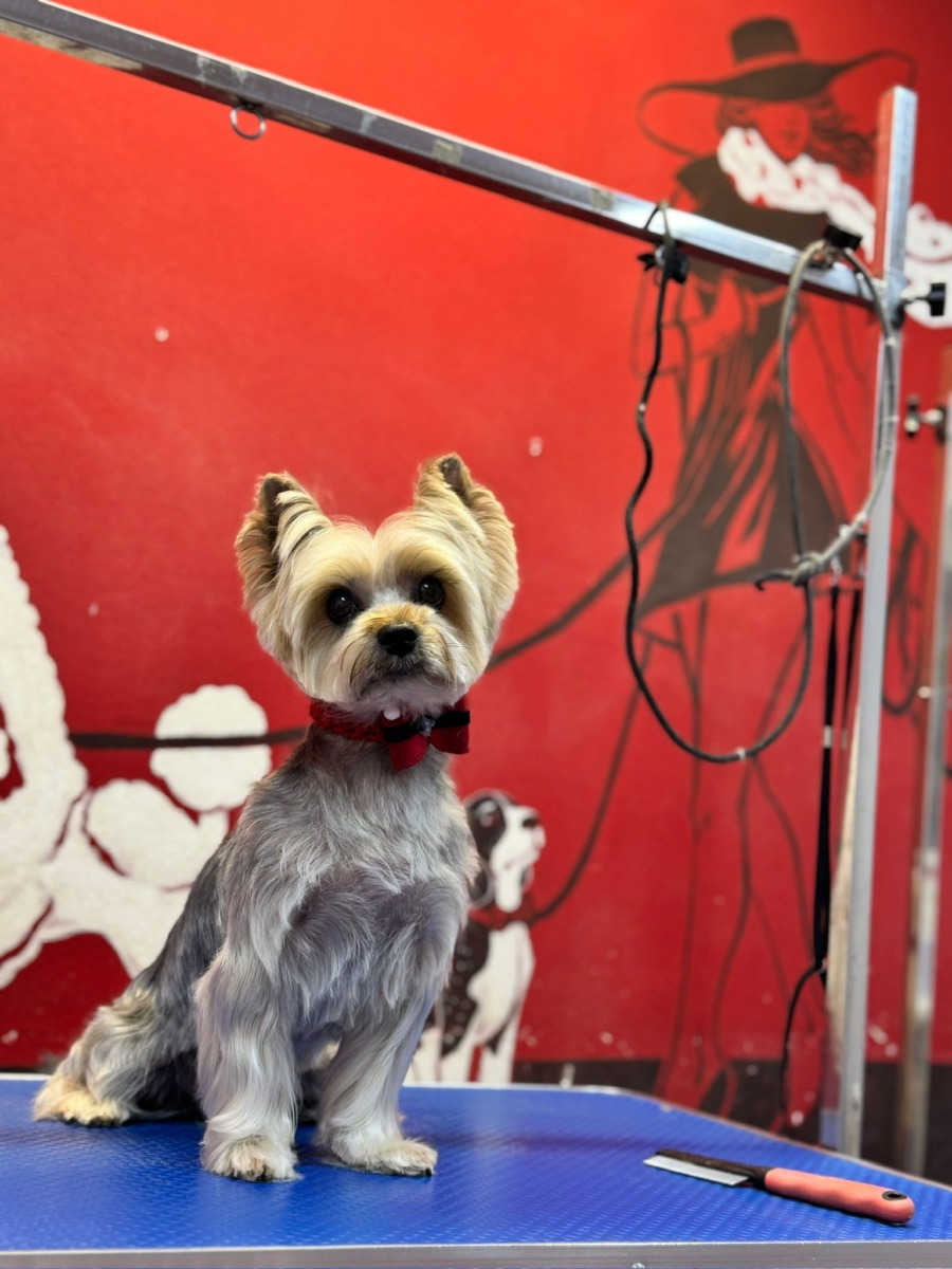 WhatsApp Image 2025-12-21 at 14.21.28 (1)