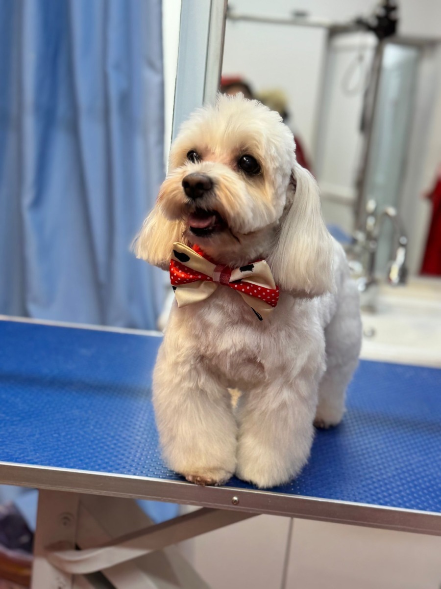 WhatsApp Image 2025-12-21 at 14.21.28 (2)