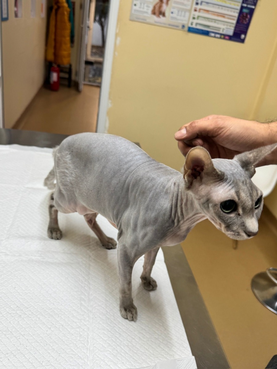 WhatsApp Image 2025-12-21 at 14.21.28 (3)