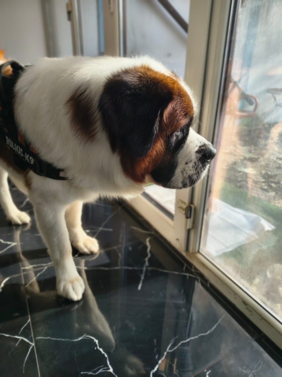 WhatsApp Image 2025-12-21 at 14.21.28 (4)