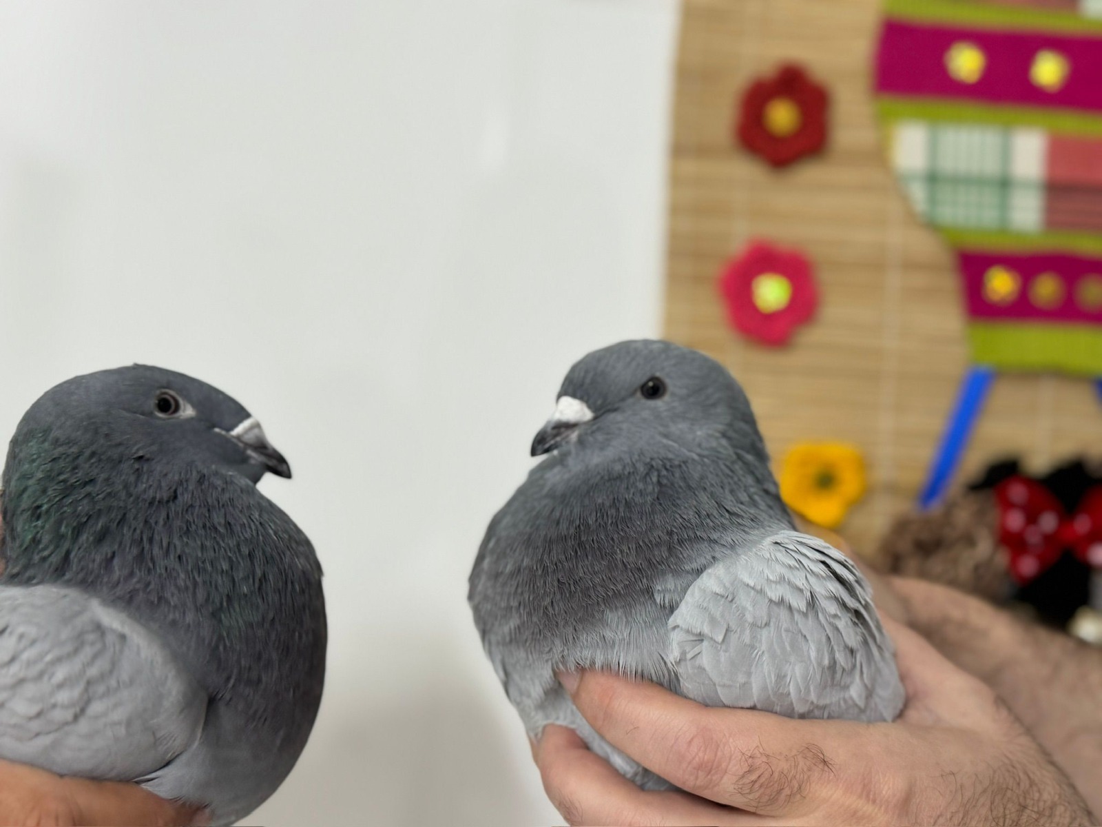 WhatsApp Image 2025-12-21 at 14.21.28