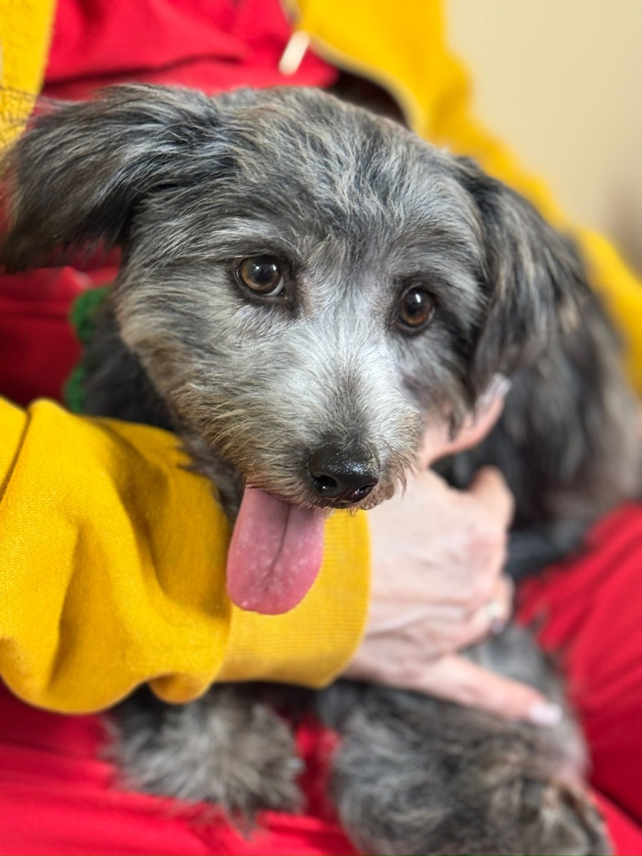 WhatsApp Image 2025-12-21 at 14.21.29 (10)