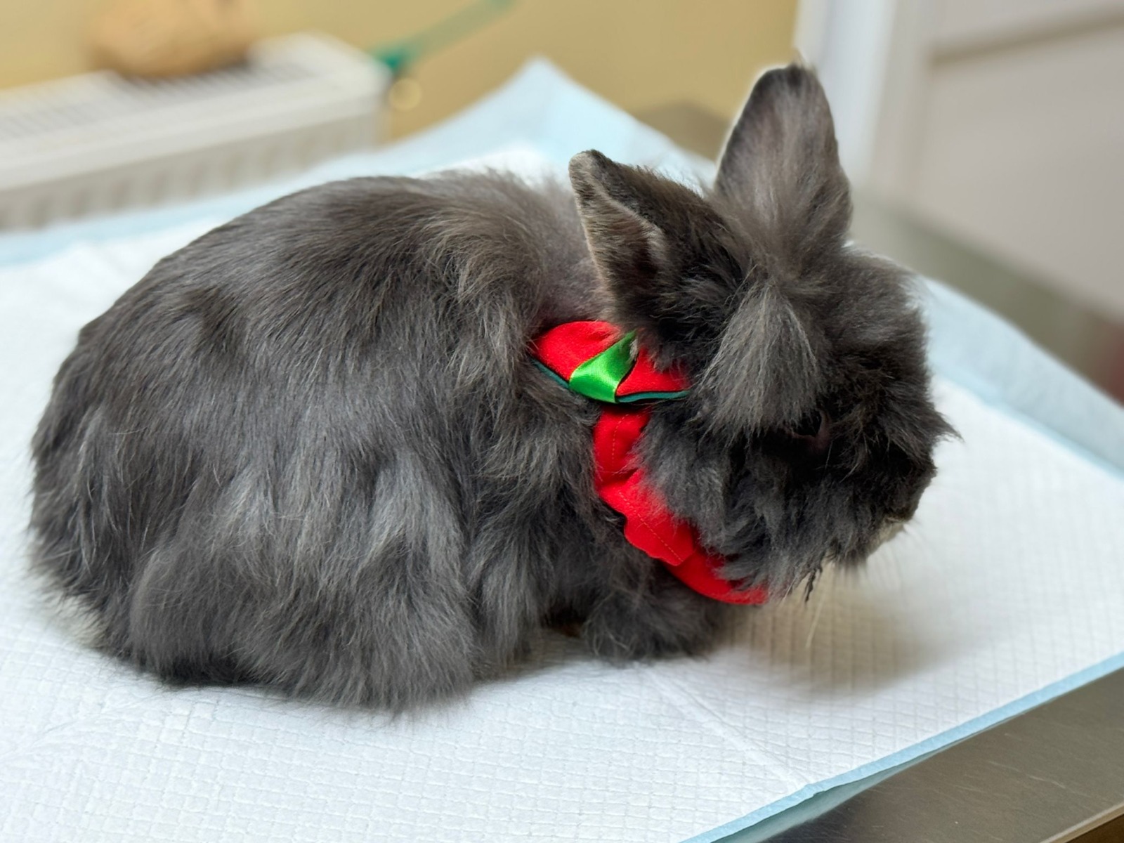 WhatsApp Image 2025-12-21 at 14.21.29 (11)