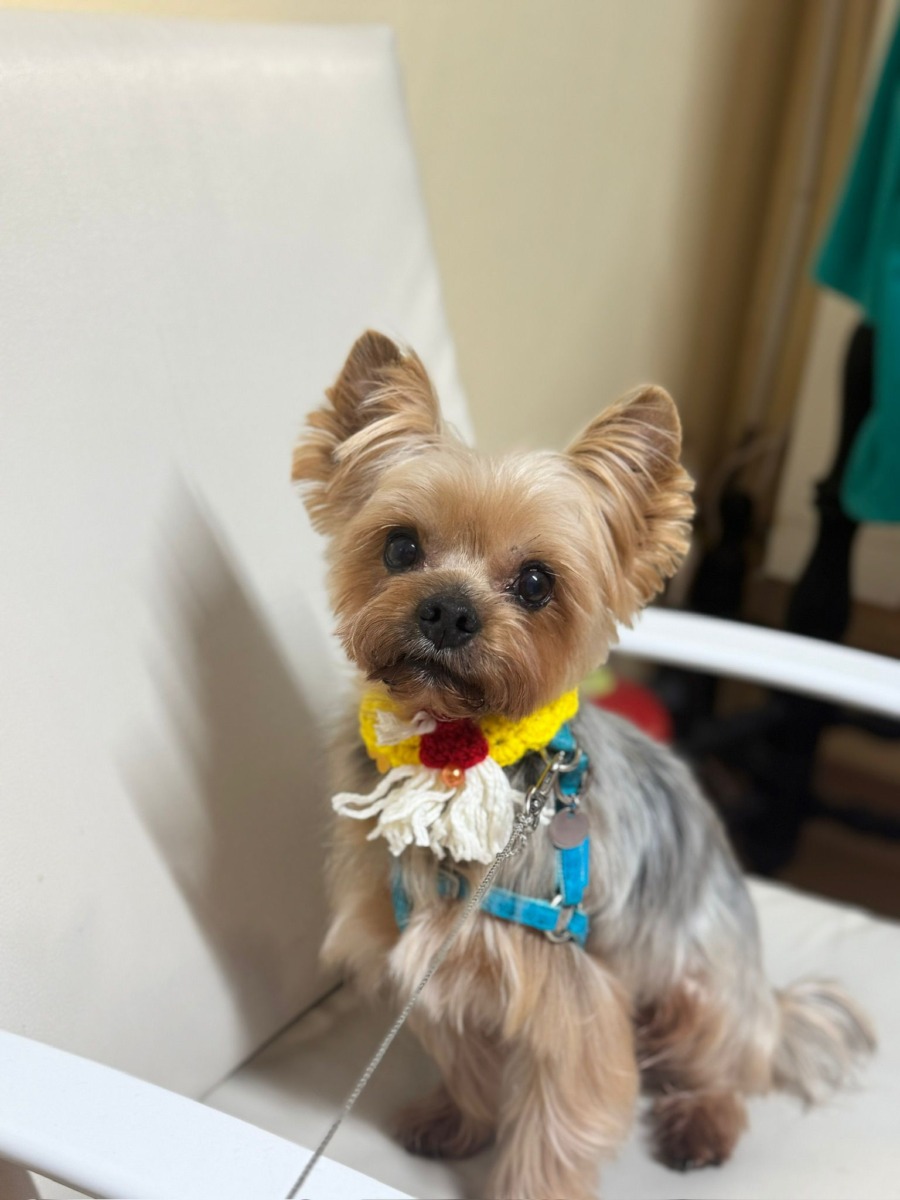 WhatsApp Image 2025-12-21 at 14.21.29 (2)