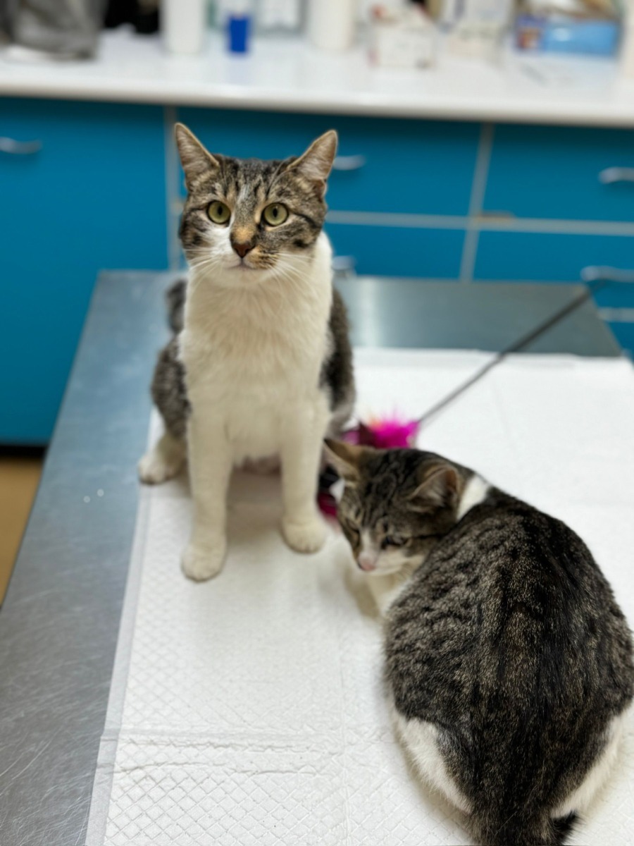 WhatsApp Image 2025-12-21 at 14.21.29 (3)