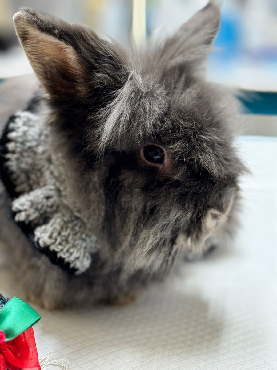 WhatsApp Image 2025-12-21 at 14.21.29 (4)