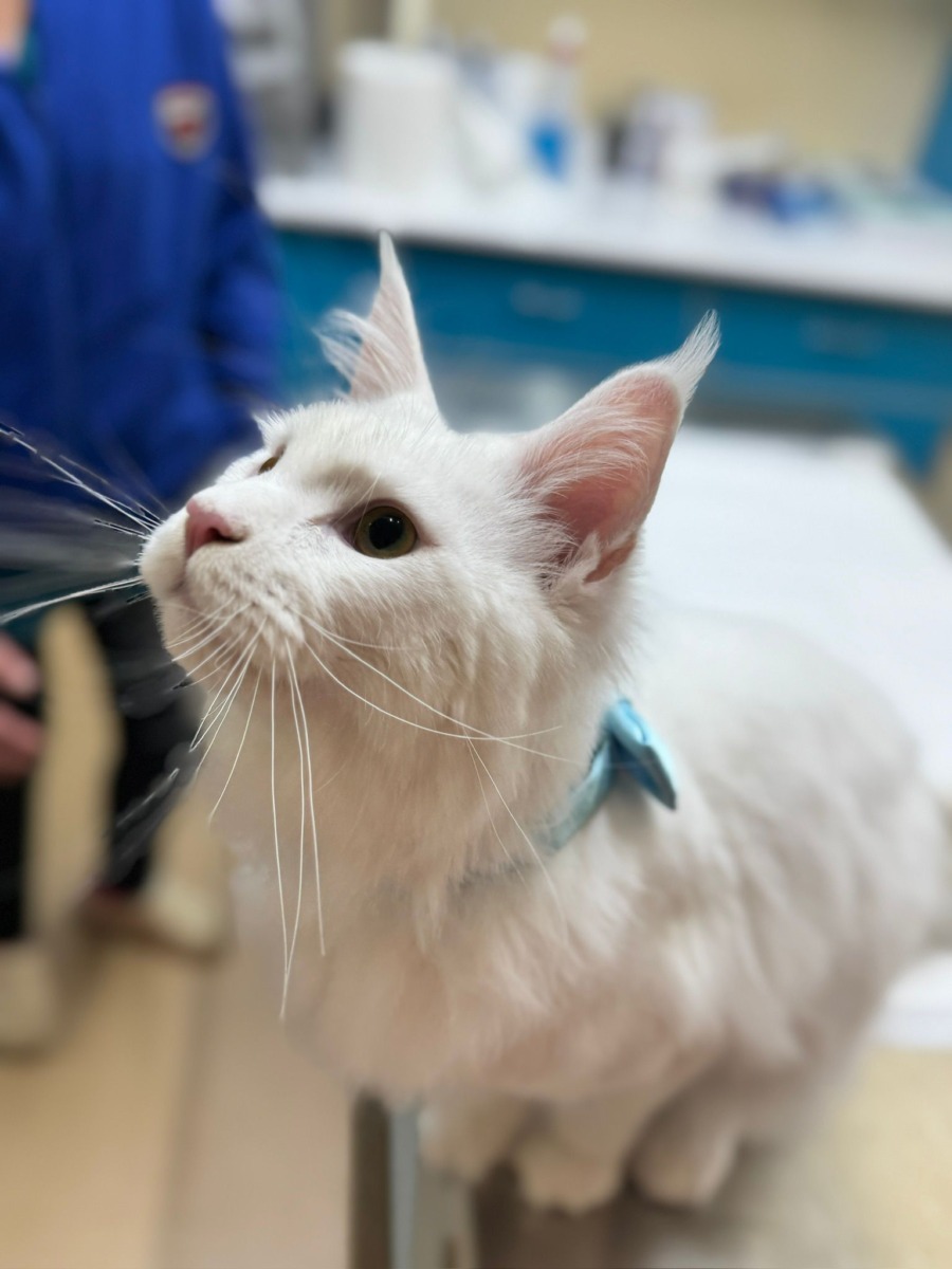 WhatsApp Image 2025-12-21 at 14.21.29 (5)