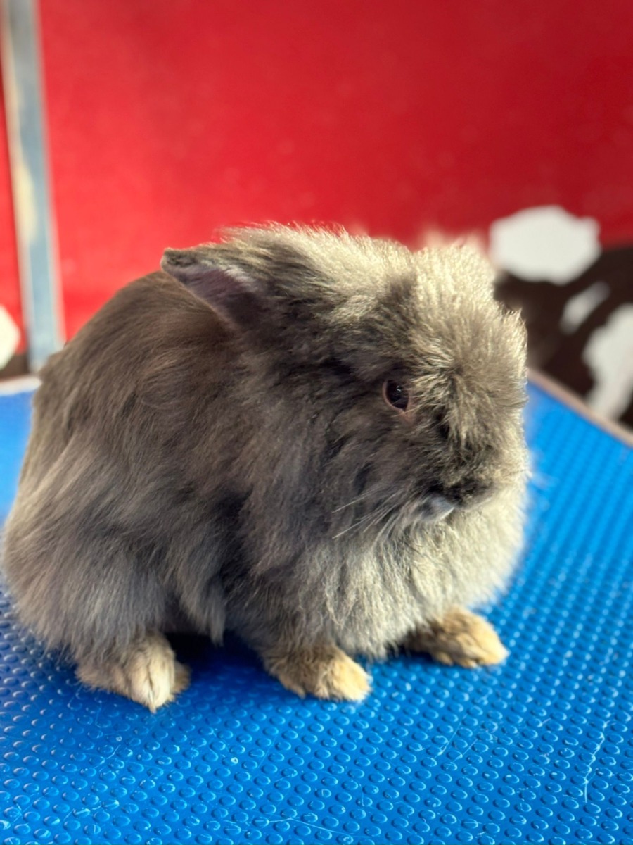 WhatsApp Image 2025-12-21 at 14.21.29 (6)