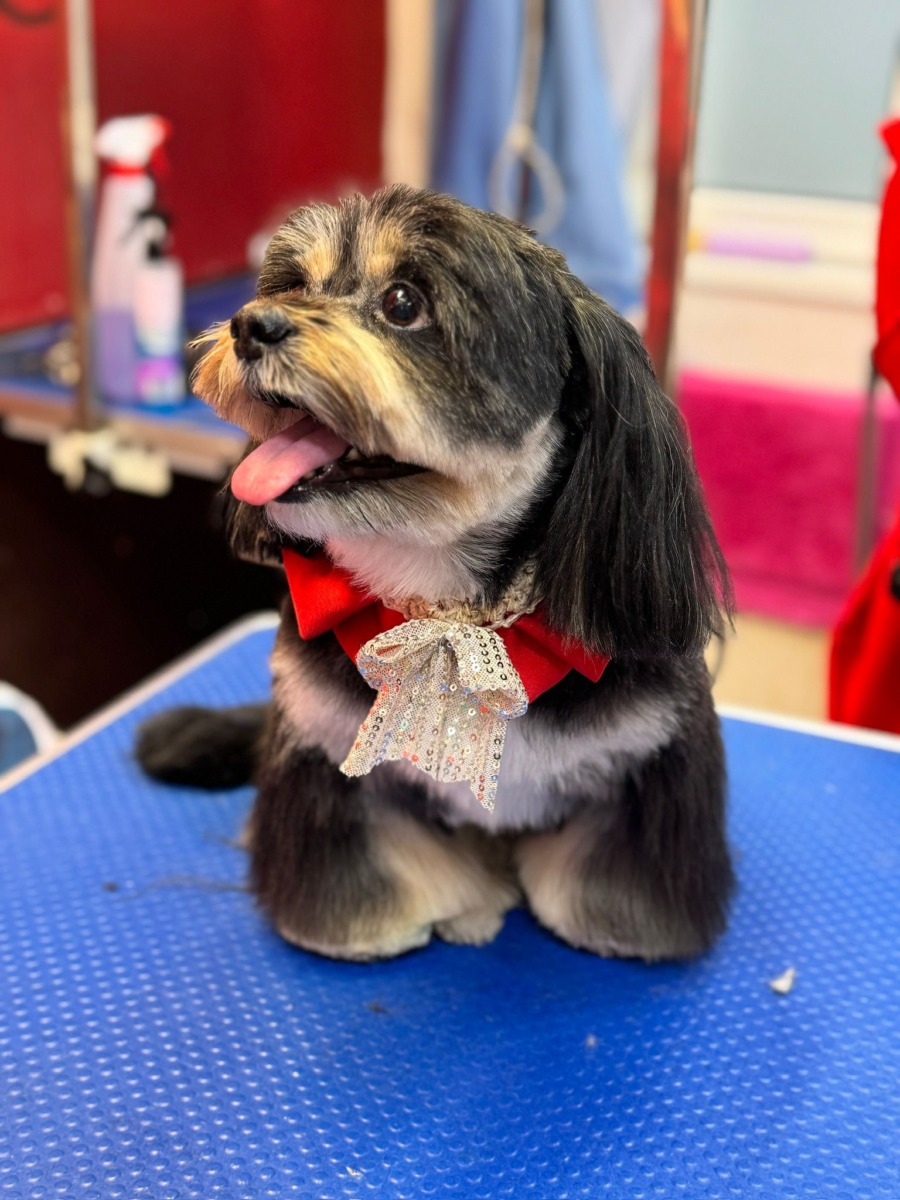 WhatsApp Image 2025-12-21 at 14.21.29 (7)