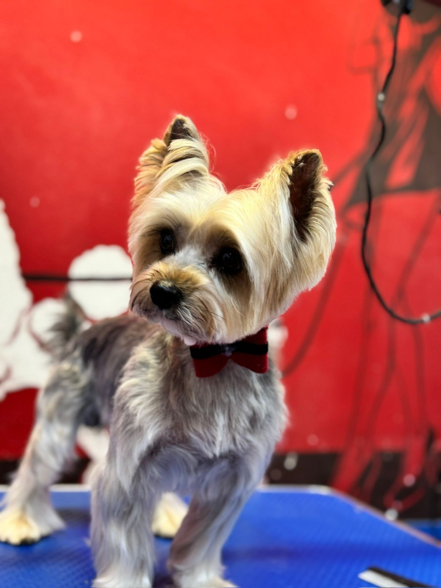 WhatsApp Image 2025-12-21 at 14.21.29 (8)