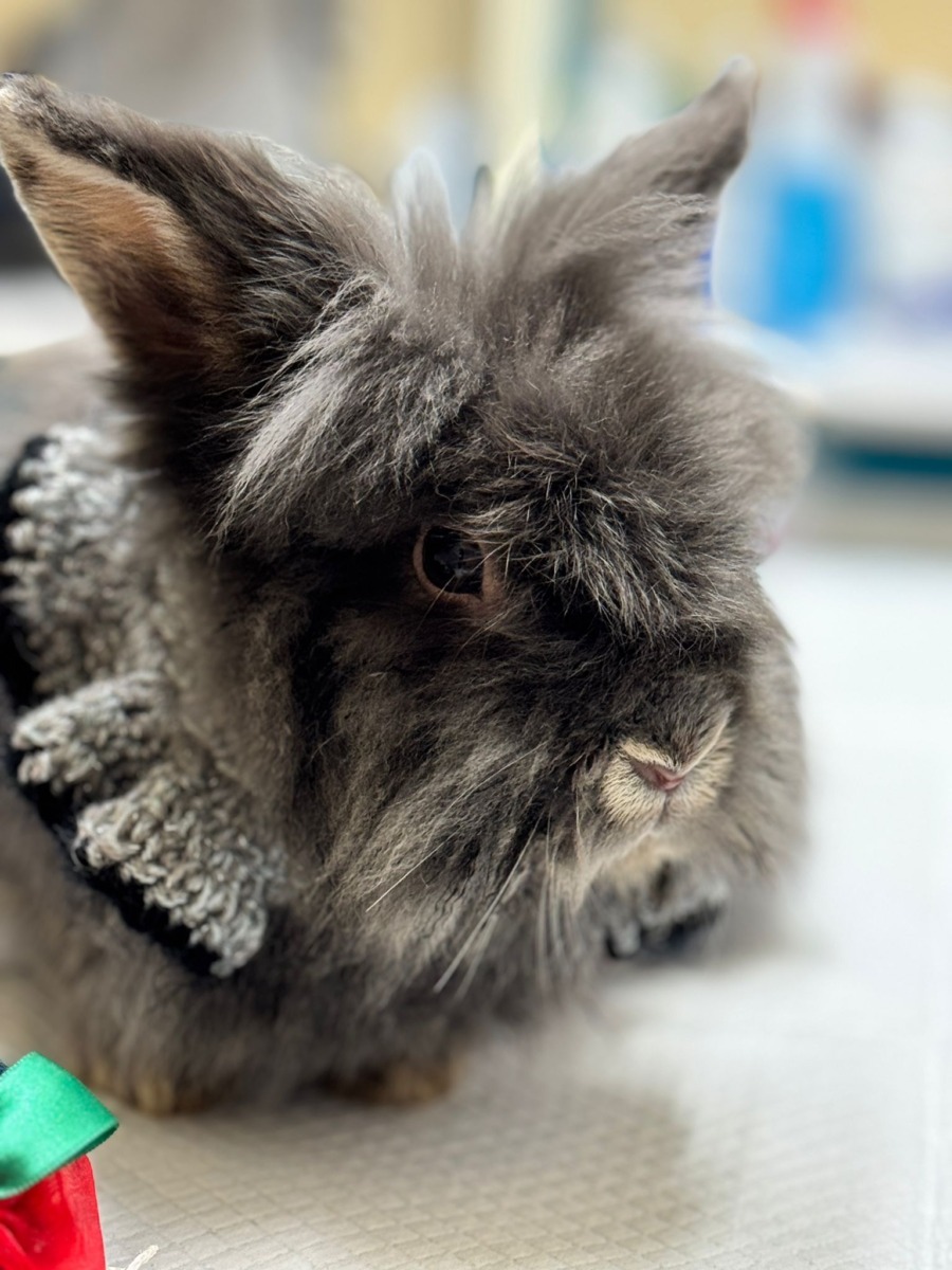 WhatsApp Image 2025-12-21 at 14.21.29 (9)