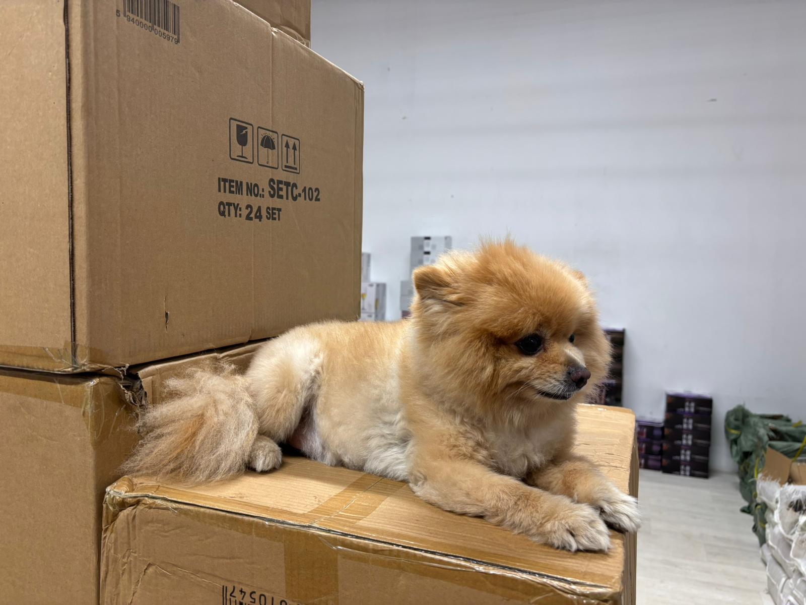 WhatsApp Image 2025-12-21 at 14.23.55 (2)