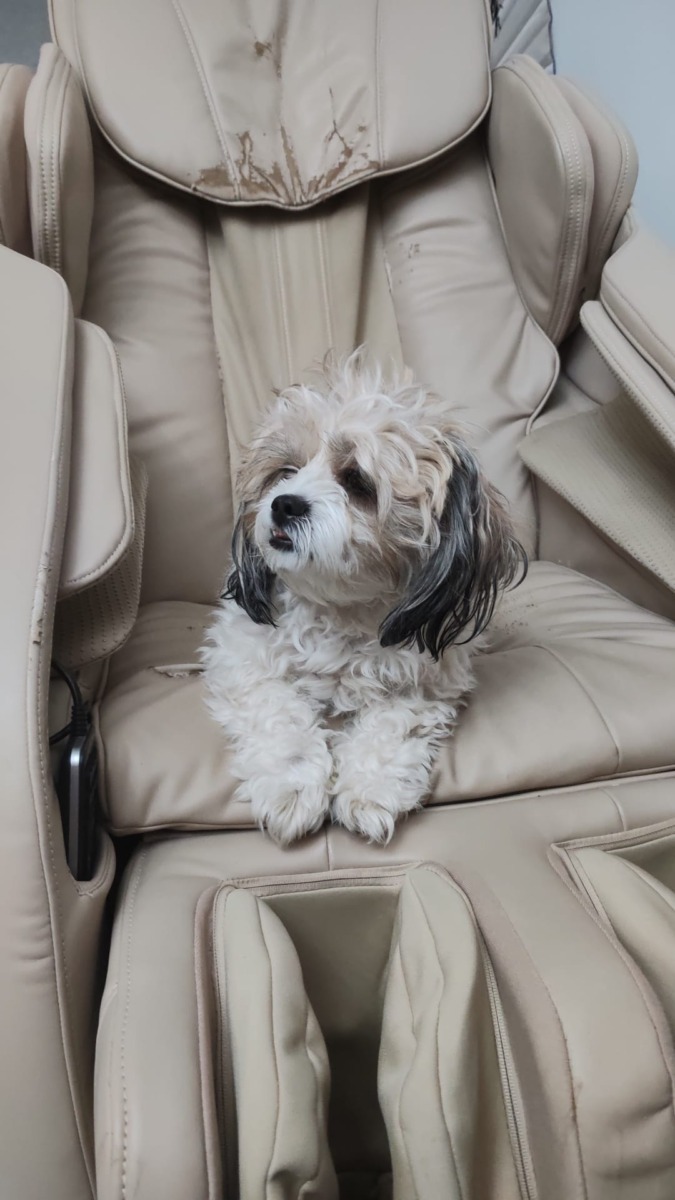 WhatsApp Image 2025-12-22 at 09.05.17 (1)