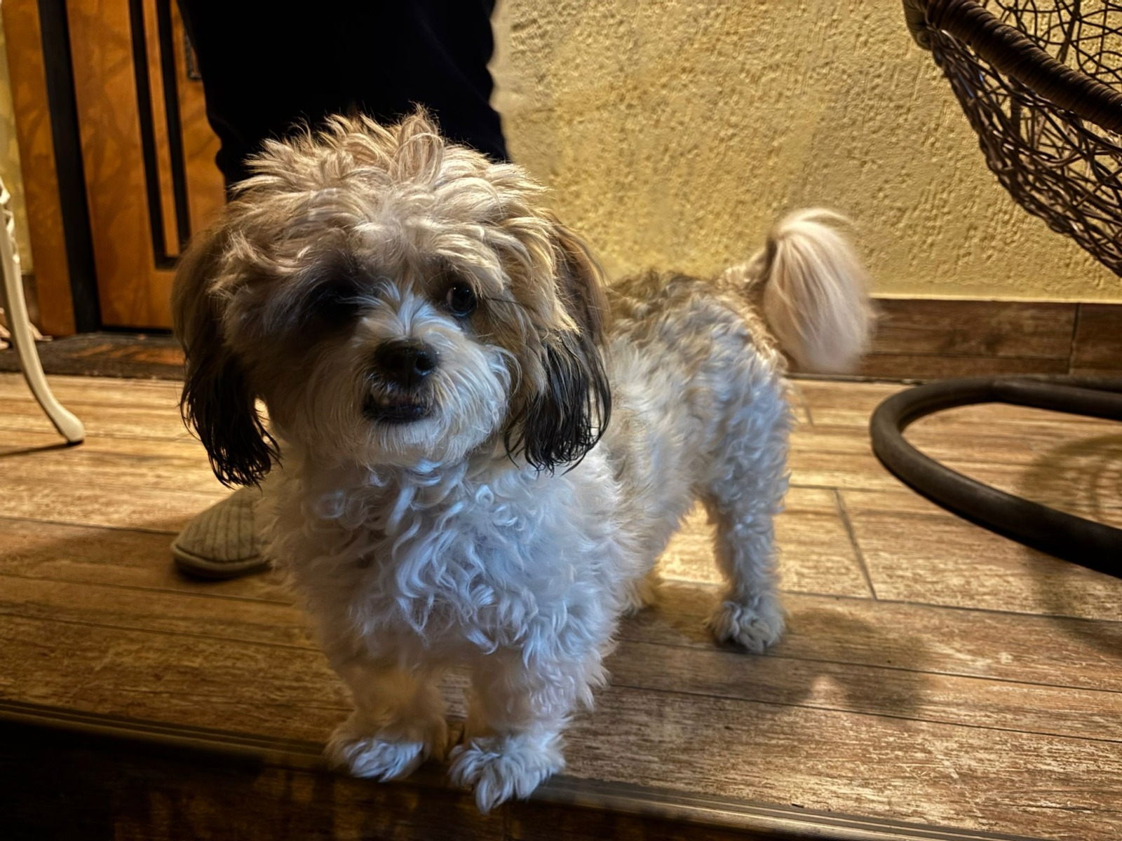 WhatsApp Image 2025-12-22 at 09.09.02 (1)