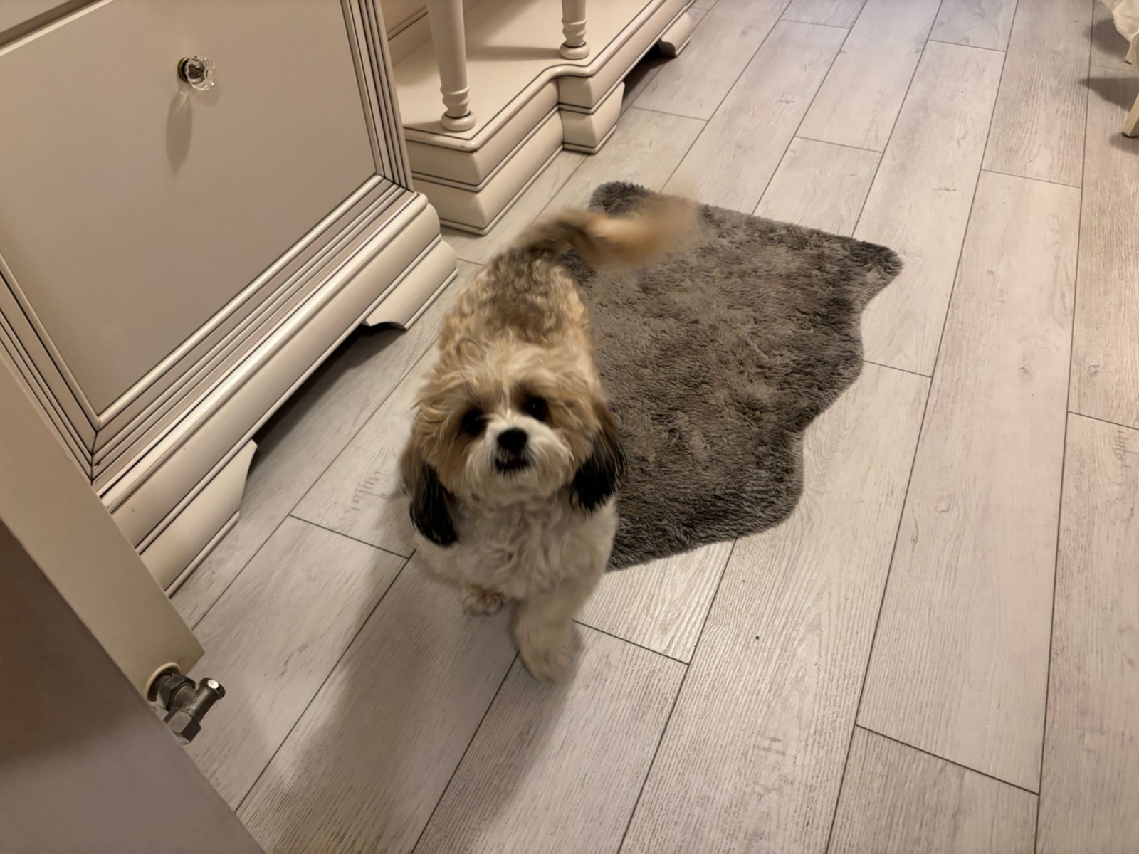 WhatsApp Image 2025-12-22 at 09.09.02 (2)